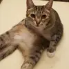 ian.walz10 - @ian.walz - TikTok