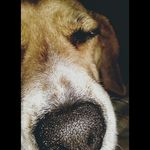 Ian Wanda 🐾 - @w_a_n_d_____00 - Instagram