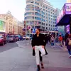 Ian Washington NV🇵🇪 🇪🇦😉🤙 - @ianwashington5 - TikTok