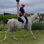 Ian Jr Weaver - @ianjrweaver - Instagram