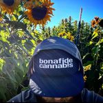 Ian Weaver - @ianweaver - Instagram
