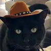 IanWeigel - @ianweigel - TikTok
