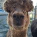 Ian Weightman - Facebook