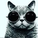Ian Weiland - @ianweiland2 - Instagram