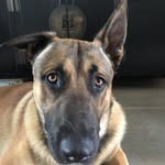Ian - @ian_westerman08 - Instagram