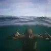 ianwestman - @ianwestman - TikTok