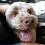 Ian Wetzel-Eden - @ian.pretzeleater - Instagram