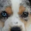 Ian Wharton - @ianwharton - TikTok
