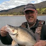 ian whitten - @whitten_ian - Instagram