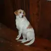 Ian_Wiggett - @iian_wiggett - TikTok
