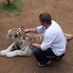 Ian Wiggins - @wigginsian - Instagram