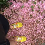 Ian Wilding - @ian_ran_ - Instagram
