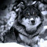 Ian Wilding - @21gonig50 - Instagram