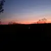 Ian Walsh - @ian.willard - TikTok