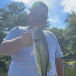 Ian Willingham - @ian_the_lion - Instagram
