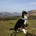 Ian Winn - @winn_ian - Instagram