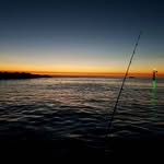 Ian Winning - @ian.winning - Instagram