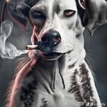 THE_BEST_ - @ian_winner_ - Instagram