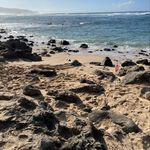 Ian Winston - @___tee___23 - Instagram