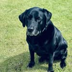 Ian Winterburn - @ianw314 - Instagram