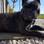 Wiseman Ian - @wiseman.ian - Instagram
