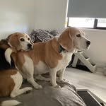 Ian Withers - @ian.withers.54 - Instagram