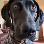 Ian Withers - @ian.withers.90 - Instagram