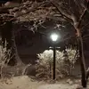 ianwolff737 - @ianwolff737 - TikTok