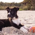 Ian Wray - @ianwray4941 - Instagram