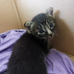 Ian Yao - @ian_yqj - Instagram