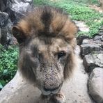 Ian Yao - Facebook