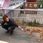 Ian Yao - Facebook