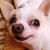 IanYao - @ianyao1 - TikTok