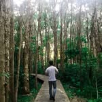 Ian Yap - @ian_yap_ - Instagram