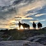 Ian Zerbe - @ianzerbe - Instagram