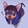 Ian_Zuber - @ian_zuber - TikTok