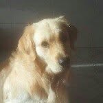 @ibanmoreno - Instagram