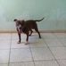 Ibis Morales Quevedo - Facebook