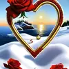 aden - @adam.ibrahim30359 - TikTok
