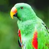 Ibrahim Diallo - @ibrahim.diallo3664 - TikTok