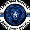 lii - @libanibrahimduale - TikTok