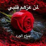 Ibrahim Elsayed Ghanem - @hema2100m - Instagram