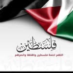 Ibrahim Ghanem - @ibrahim.ghanem.140 - Instagram