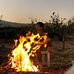 Ibrahim Haidar - Facebook