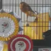 Ibrahim Hamad - @ibrahim.hamad4 - TikTok