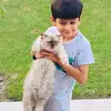 ibrahim iqbal - @ibrahim.iqbal889 - TikTok