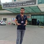@dr.ibrahimkabak - Instagram