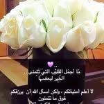 Ibrahim Nashef - @ibrahimnashef - Instagram