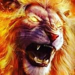ibrahim saifullah - @saifibrahim33 - Instagram