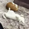 Ibrahimsalman - @ibrahimsalman040404 - TikTok